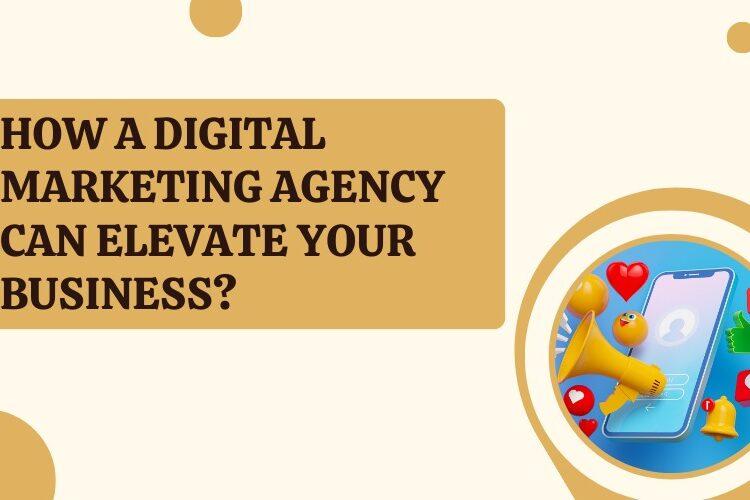 How a Digital Marketing Agency Can Elevate Your Business
