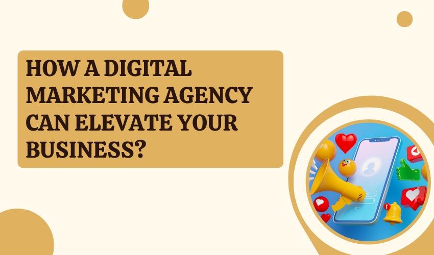 How a Digital Marketing Agency Can Elevate Your Business