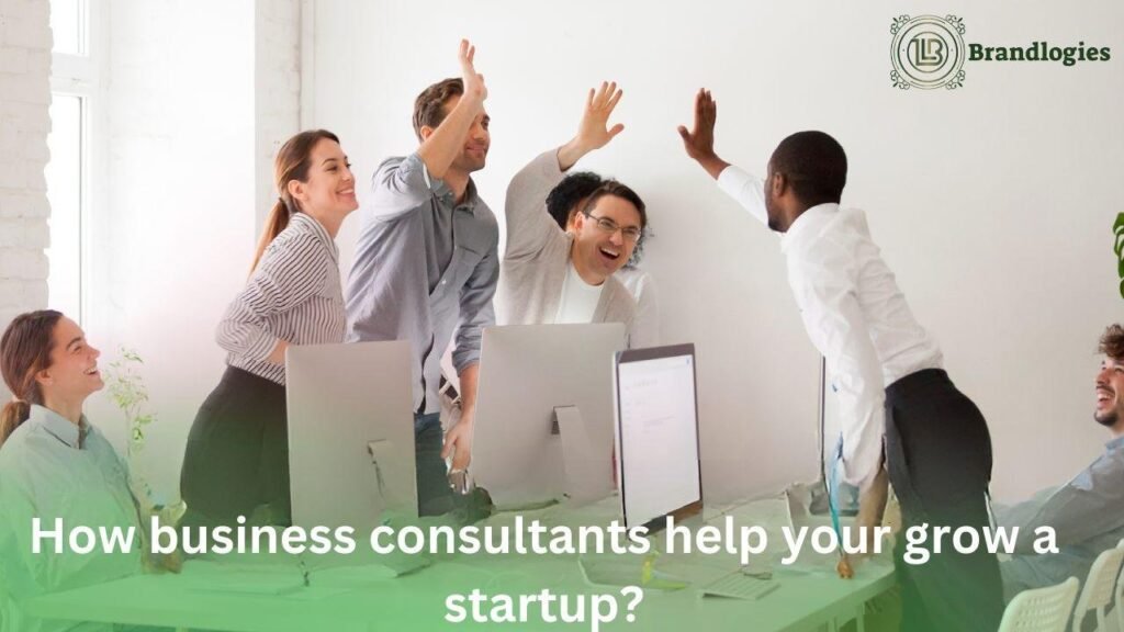 How business consultants help your grow a startup?