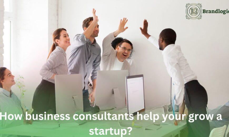 How business consultants help your grow a startup?