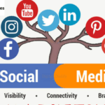 Social media agency in NSP