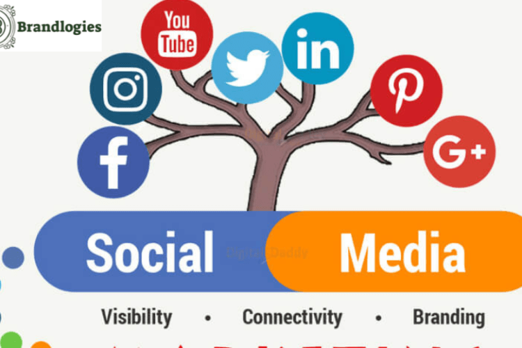 Social media agency in NSP