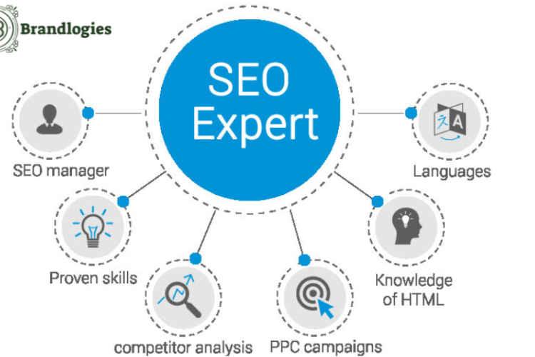 dedicated SEO expert,