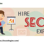 hire dedicated SEO expert