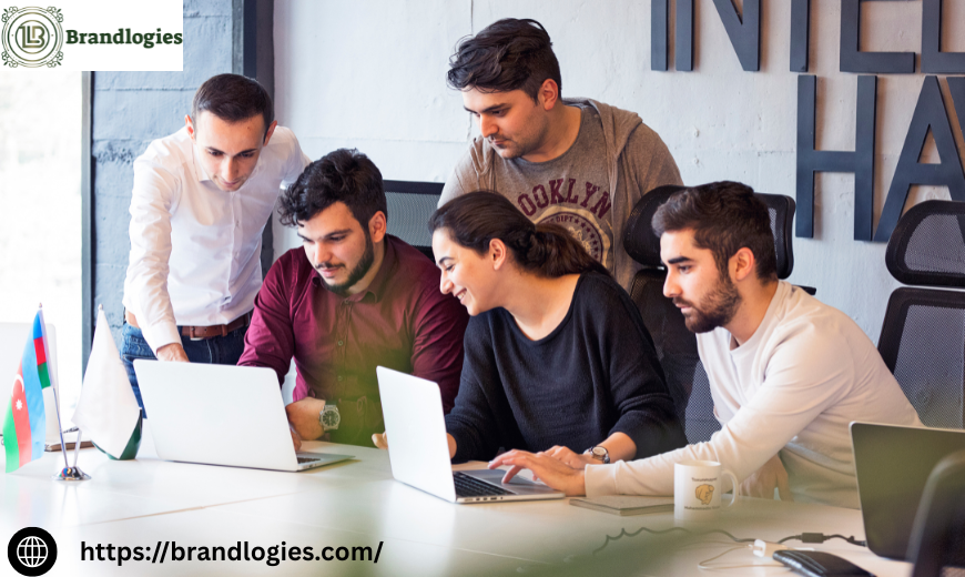 brand management agency in delhi - Brandlogies