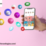 social media marketing agency in nsp - Brandlogies